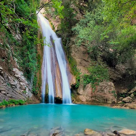 فندق Alex 2*