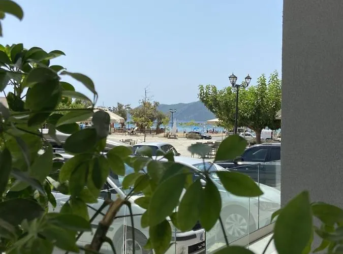 Hotel Alex